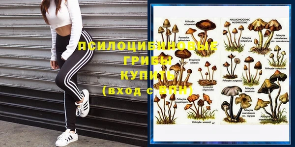 прущая мука Армянск