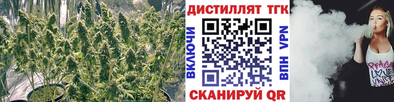 Дистиллят ТГК концентрат  закладка  Суоярви 