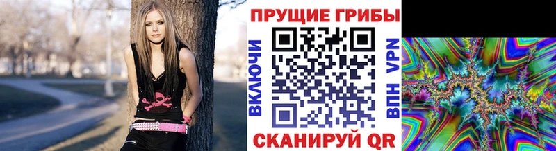 наркошоп Суоярви Псилоцибиновые грибы GOLDEN TEACHER